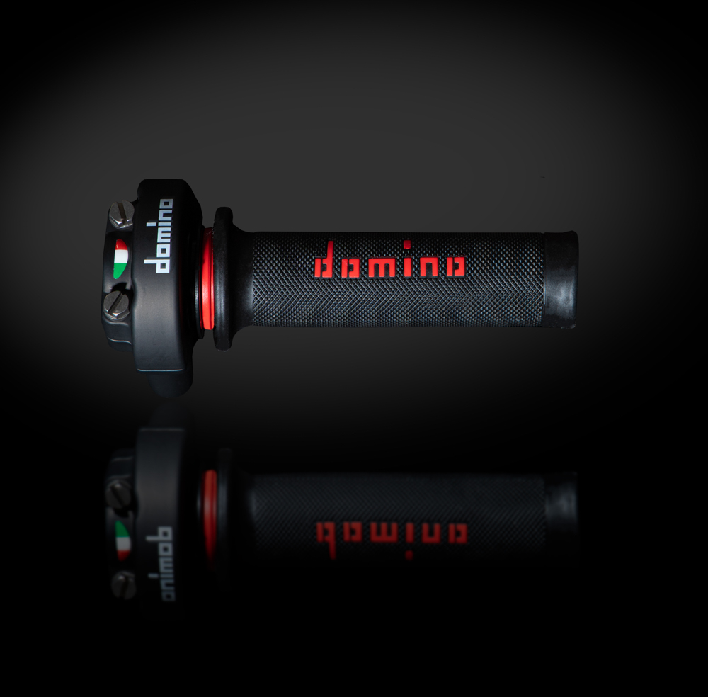 Domino Racing